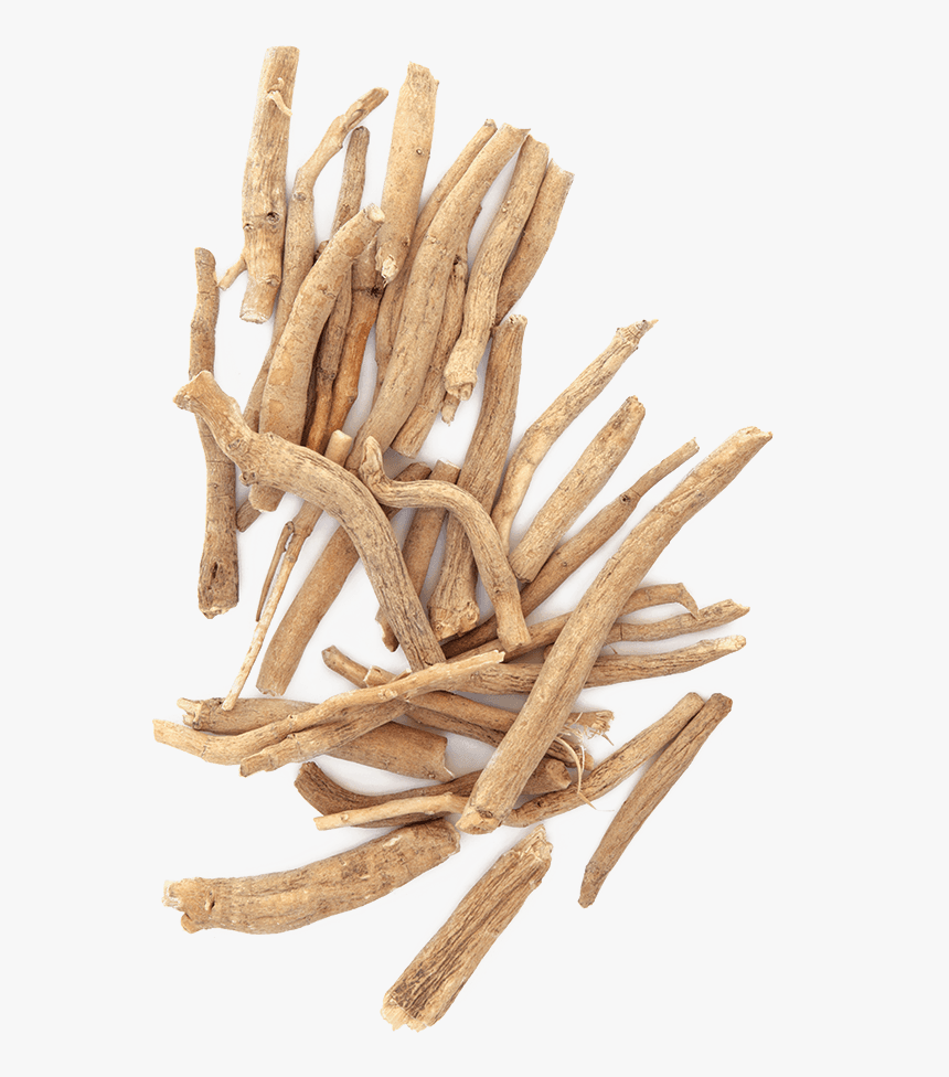Drift Wood Png, Transparent Png, Free Download