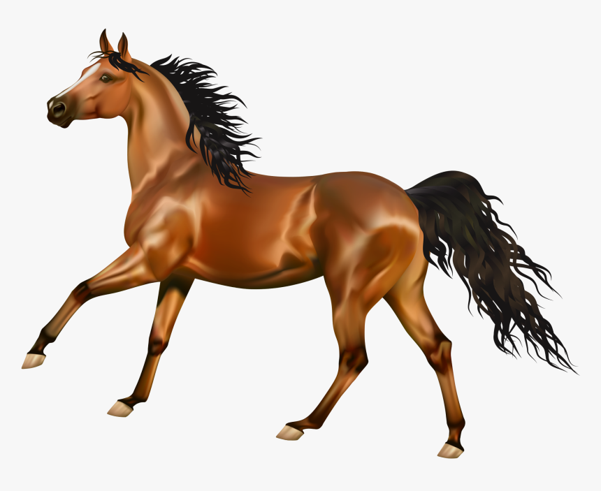 Horse Clipart Png Image Free Download Searchpng - Cavallo Png, Transparent Png, Free Download