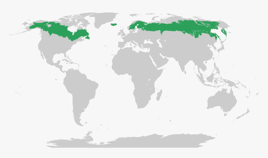 Temperate Grasslands Of The World, HD Png Download, Free Download