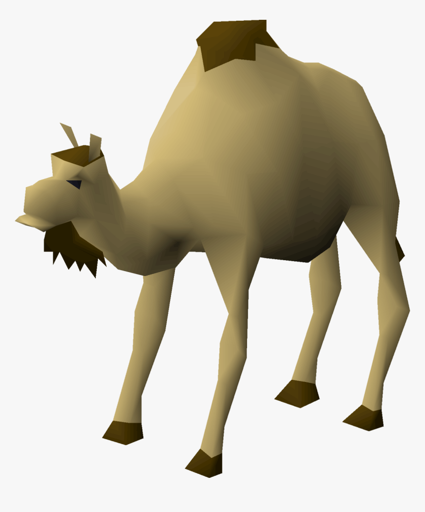 Osrs Camel, HD Png Download, Free Download