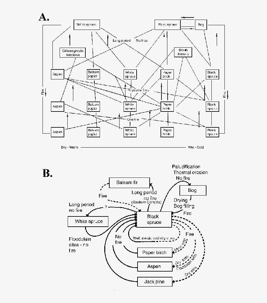 Diagram, HD Png Download, Free Download