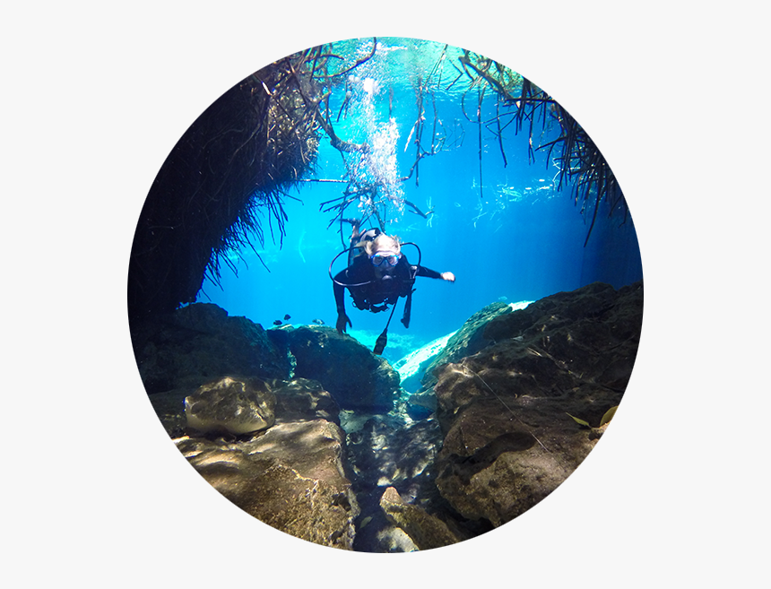 Underwater, HD Png Download, Free Download