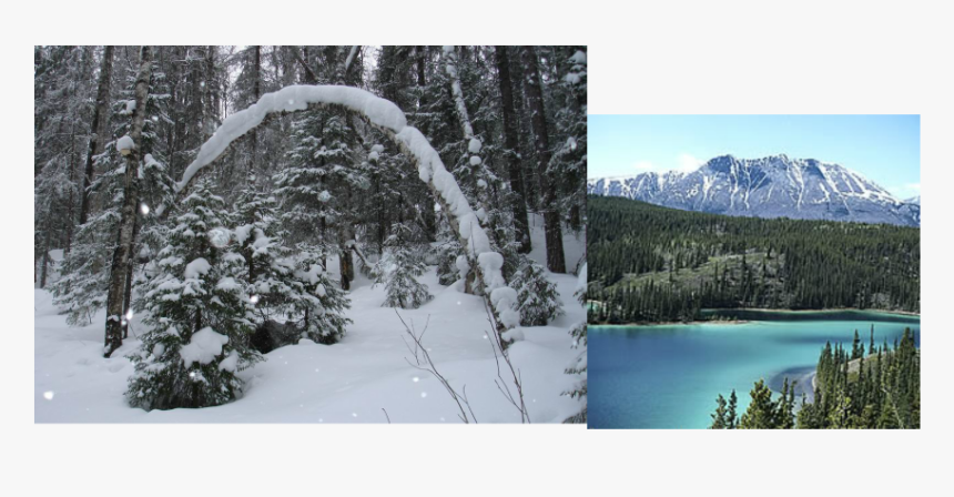 Picture - Emerald Lake, HD Png Download, Free Download