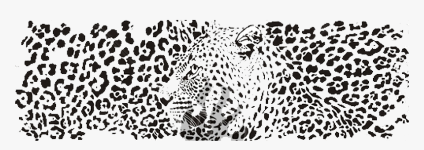 Leopard Bakgrund, HD Png Download, Free Download