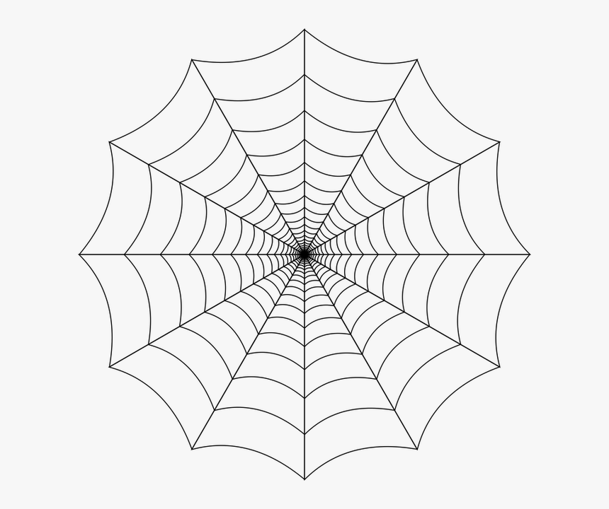 Spider Web, Cobweb, Spider, Web, Nature, Trap, Insect - Spider Web Png Transparent, Png Download, Free Download