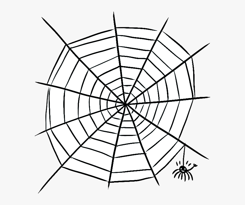 Spider Web Vector Png, Transparent Png, Free Download