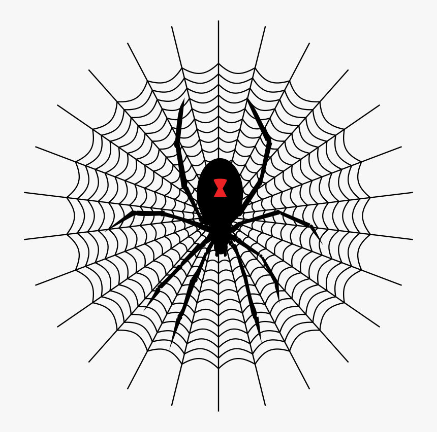 Intricate Spider Web Style 2 With Black Widow, HD Png Download, Free Download