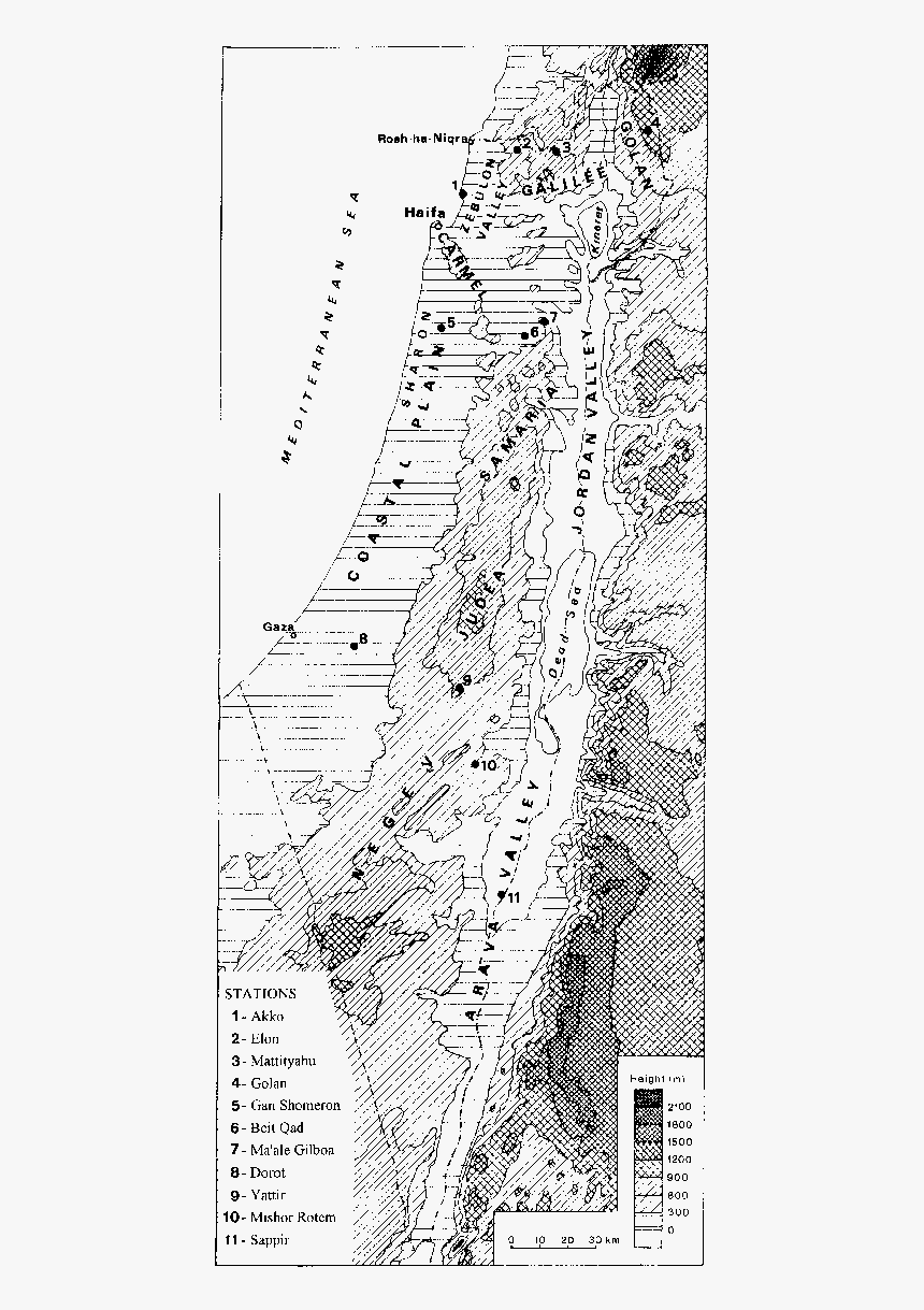 Topography Of Israel Black And White, HD Png Download, Free Download