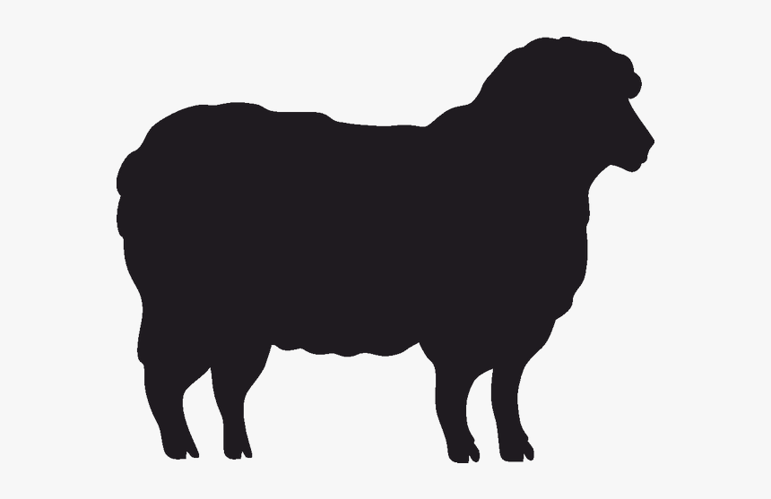 Sheep Stencil Silhouette Goat Cattle - Sheep Silhouette, HD Png Download, Free Download