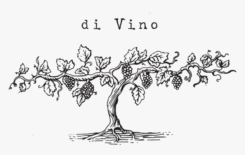 Vino Png, Transparent Png, Free Download