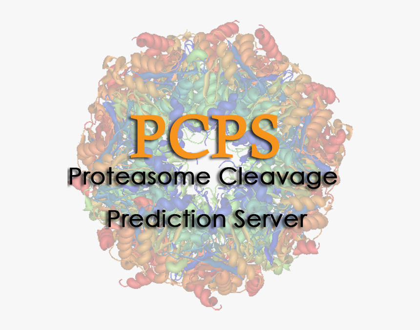 Proteasome, HD Png Download, Free Download