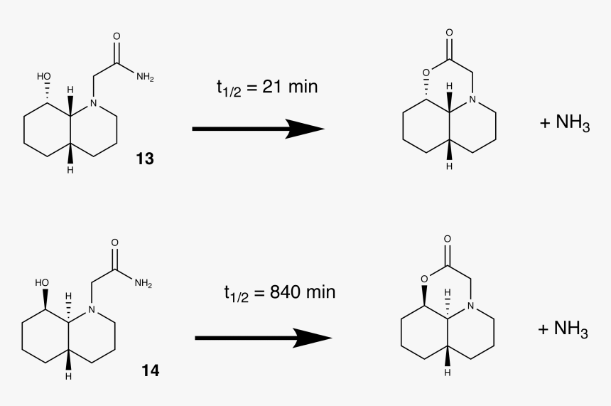 Hydrolysis Of Amide In Ring, HD Png Download, Free Download