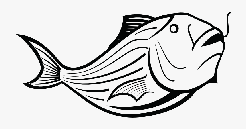 Peixe Draw, HD Png Download, Free Download
