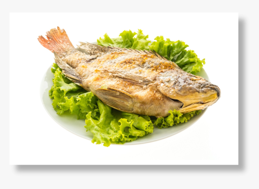 Pescado Frito Para Imprimir, HD Png Download, Free Download