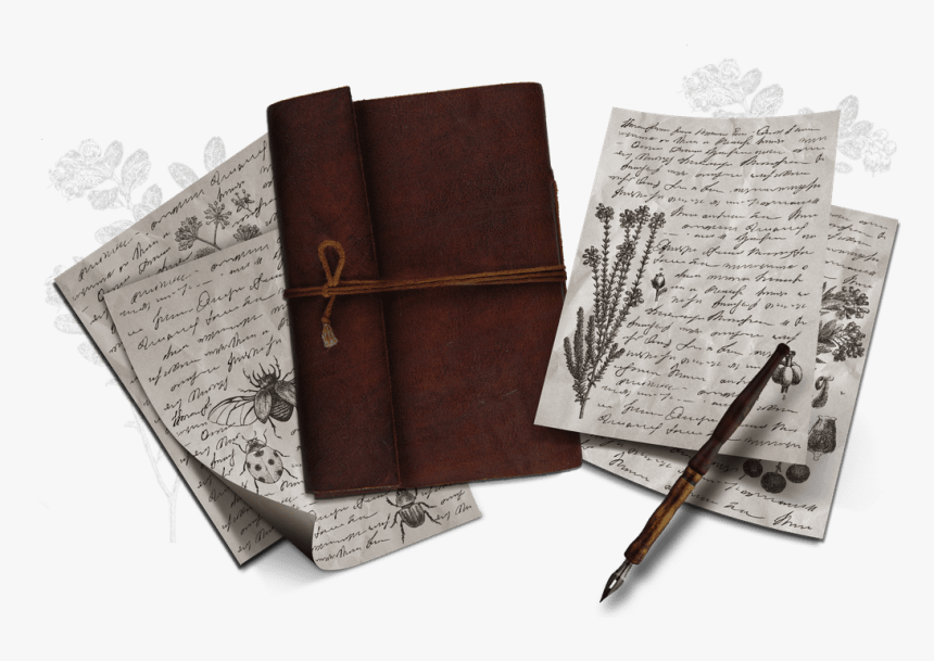 Field Notes - Calligraphy, HD Png Download, Free Download