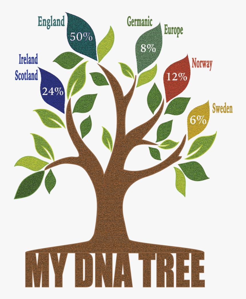 Save Trees Save Water, HD Png Download, Free Download