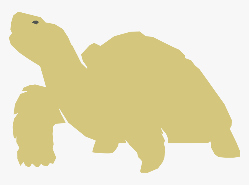 Brendan Mcleod - Galápagos Tortoise, HD Png Download, Free Download