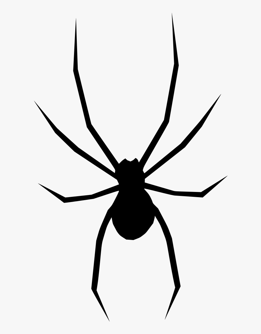 Black Widow Spider Cartoon, HD Png Download, Free Download