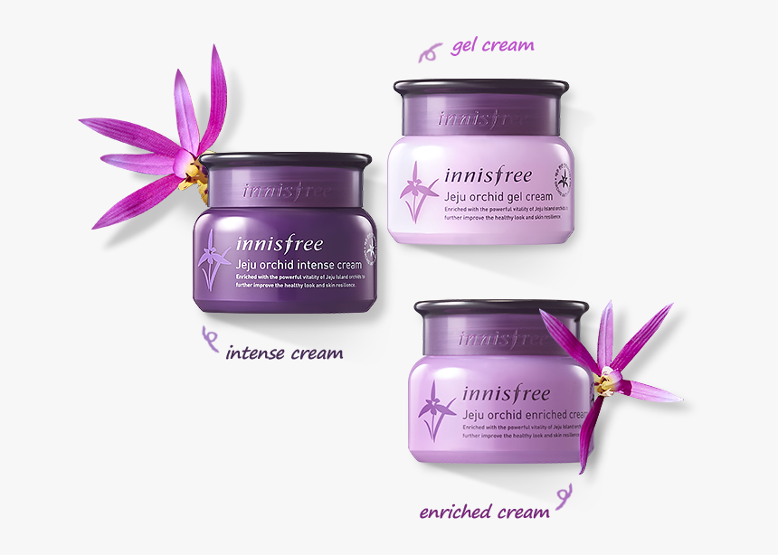 Innisfree Jeju Orchid Enriched Eye Cream, HD Png Download, Free Download