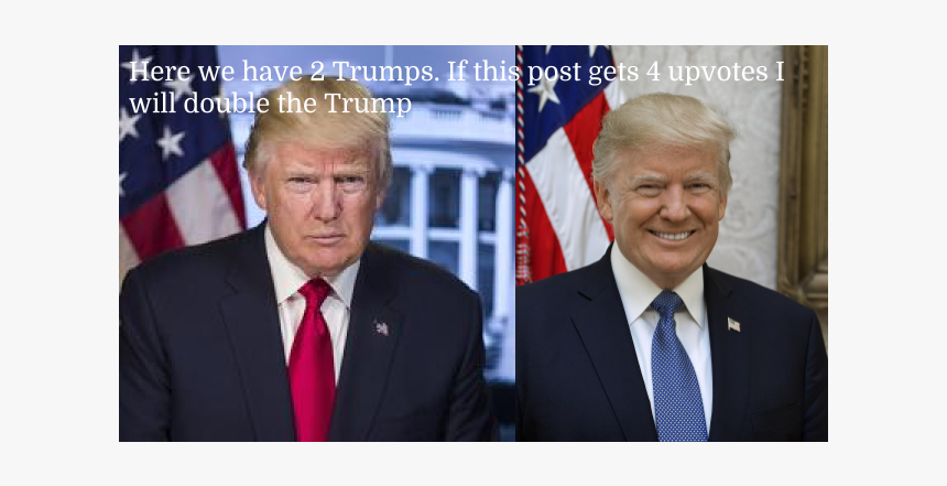 Reddit Trump Spam - Trump Official Portrait, HD Png Download, Free Download