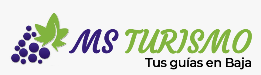 Turismo Ms - Calligraphy, HD Png Download, Free Download