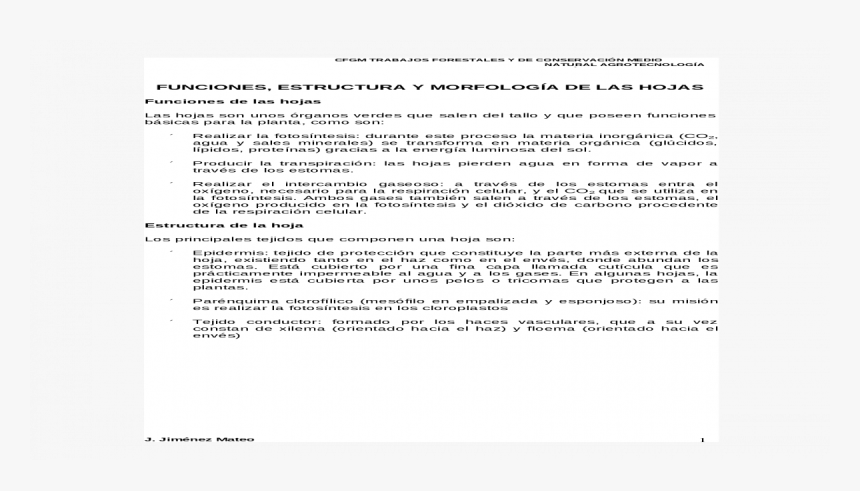 Screenshot, HD Png Download, Free Download