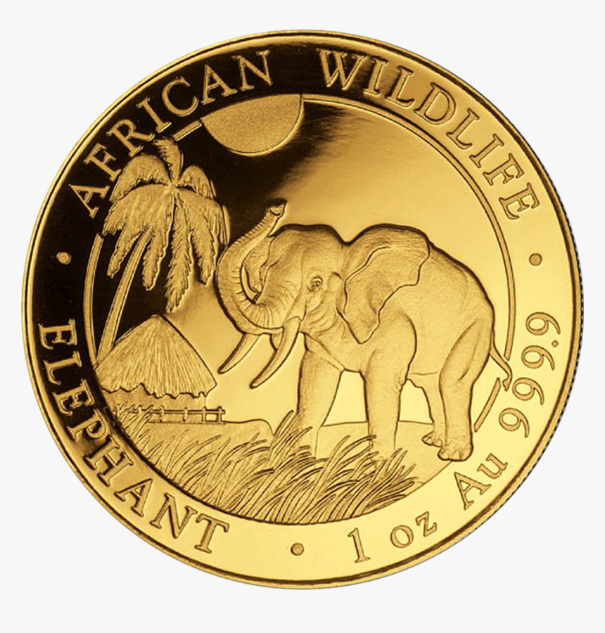 Elephant Gold Coin 2017, HD Png Download, Free Download