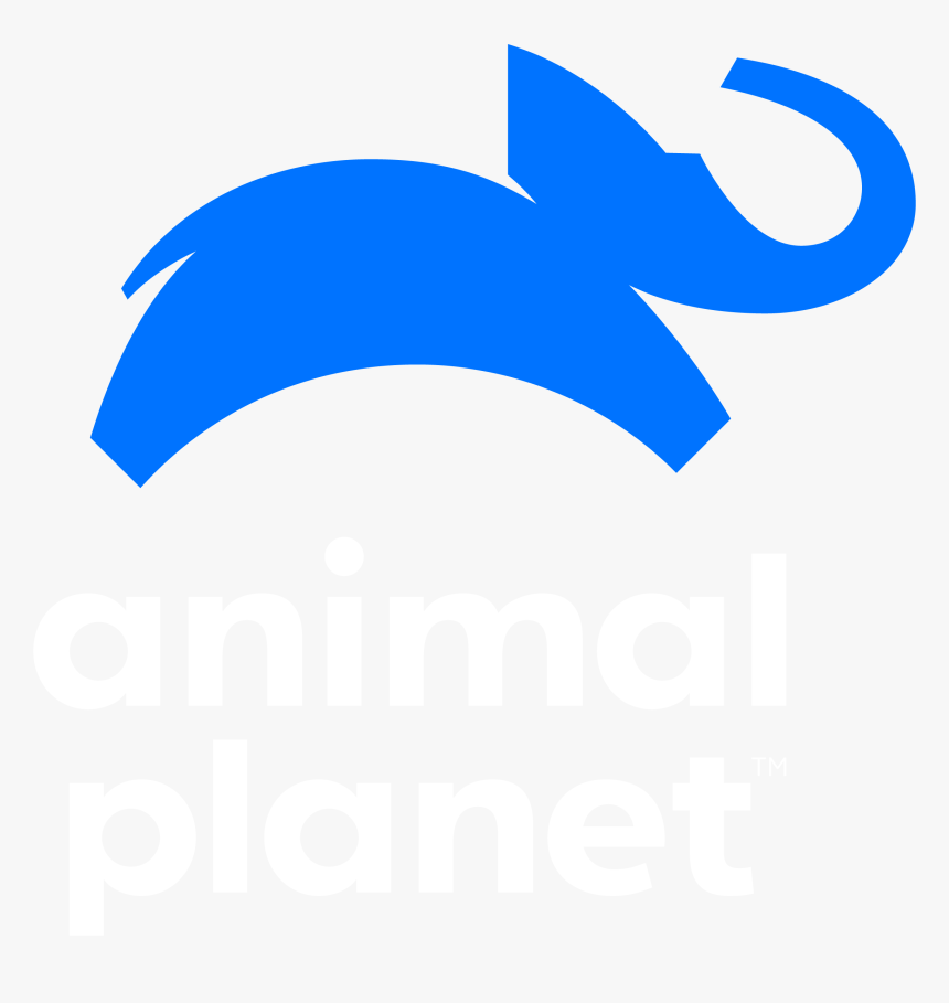 Bindi & The Otters - New Animal Planet Logo, HD Png Download, Free Download