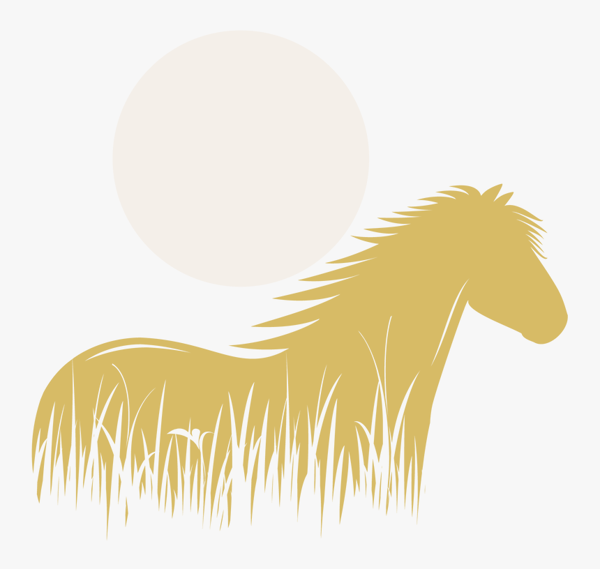 Picture - Mane, HD Png Download, Free Download