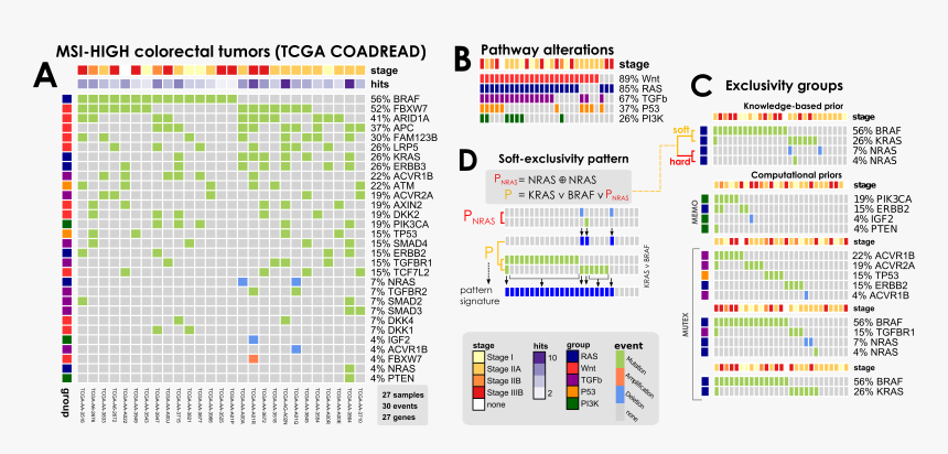 Colorectal Tcga, HD Png Download, Free Download
