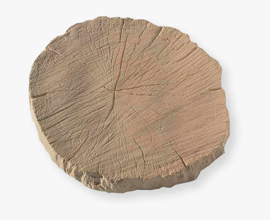 Troncosincorteza - Tree Stump, HD Png Download, Free Download