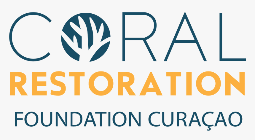 Coral Restoration Foundation Curacao - Crf Curacao, HD Png Download, Free Download