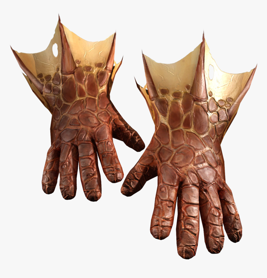 Harry Potter Wiki - Dragon Skin Gloves, HD Png Download, Free Download