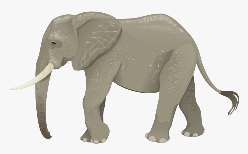 Elephant Vector Graphics Portable Network Graphics - Transparent Clip Art Elephant, HD Png Download, Free Download