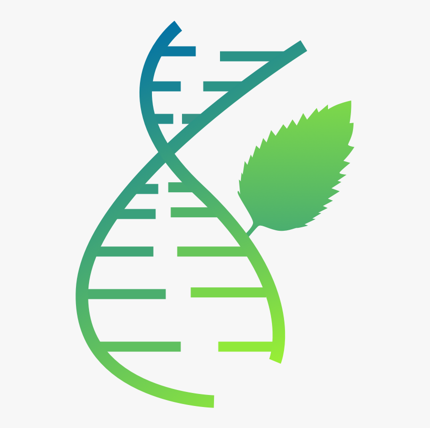 Mint Can Analyze Structure Of Your Rna Molecule Meaning - Emblem, HD Png Download, Free Download