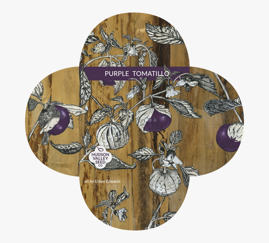 Purple Tomatillo Art Pack - Illustration, HD Png Download, Free Download