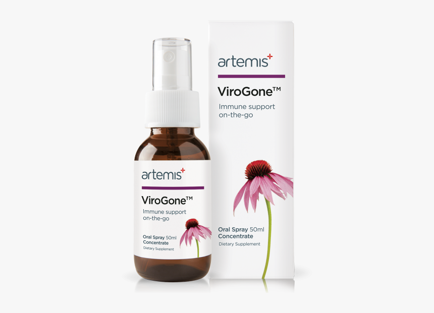 Artemis Virogone, HD Png Download, Free Download