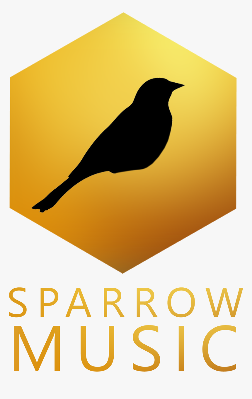Transparent Sparrow Silhouette Png - Perching Bird, Png Download, Free Download