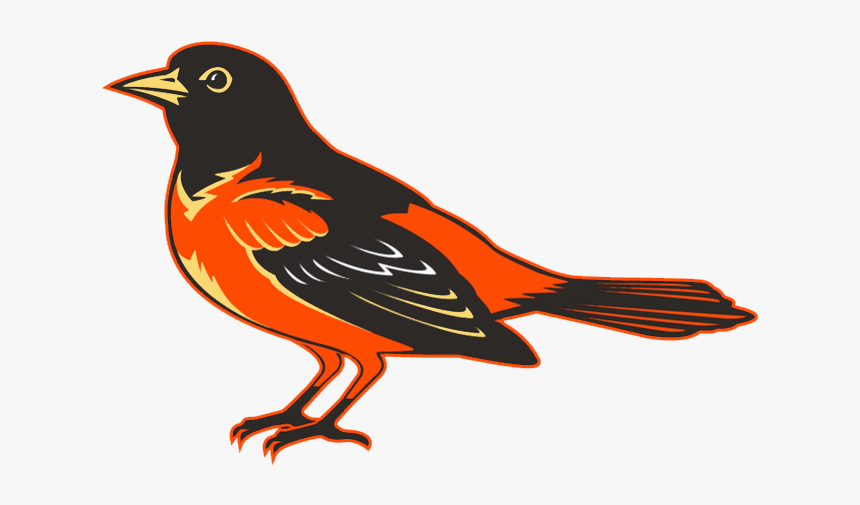 Baltimore Orioles Old Logo, HD Png Download, Free Download