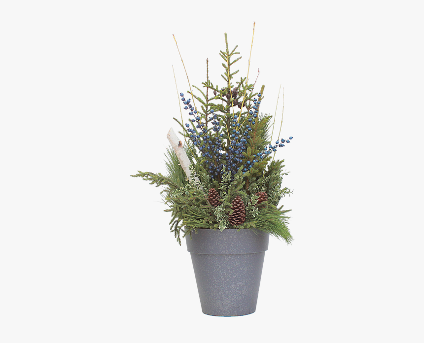 Spruce Tip Container With Blueberries - Flowerpot, HD Png Download, Free Download