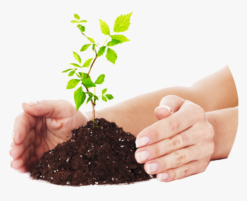 Thumb Image - Compost Png, Transparent Png, Free Download