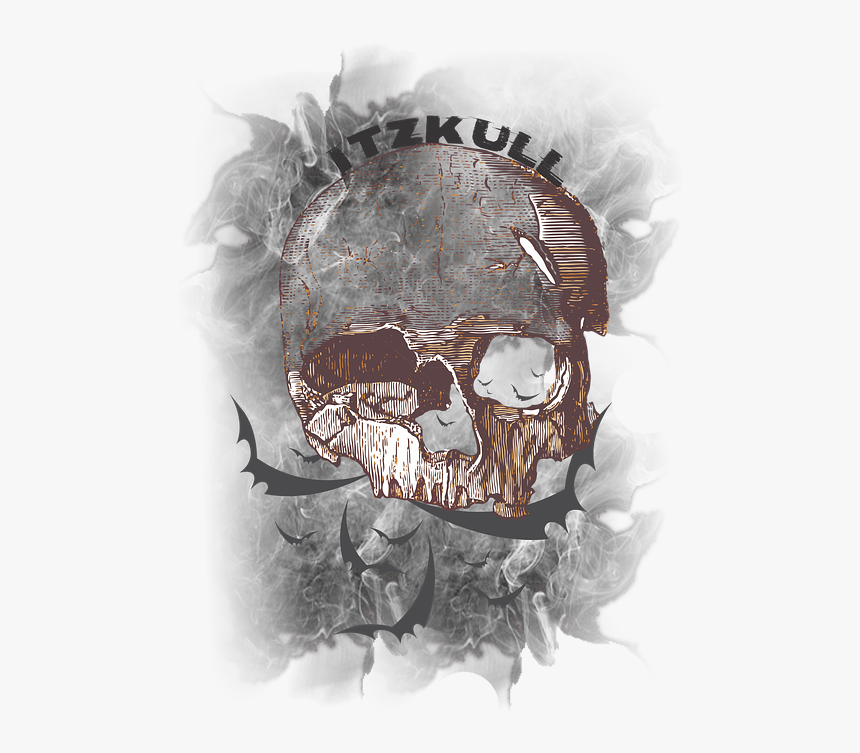 Caveira, Sombrio, Sombra, Morcegos - Skull, HD Png Download, Free Download