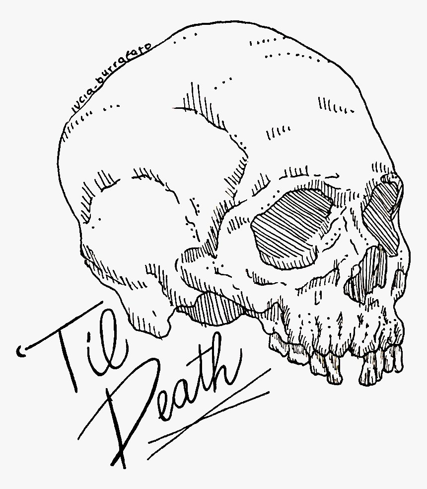 Image Of "til Death Skull Sticker - Drawing, HD Png Download, Free Download