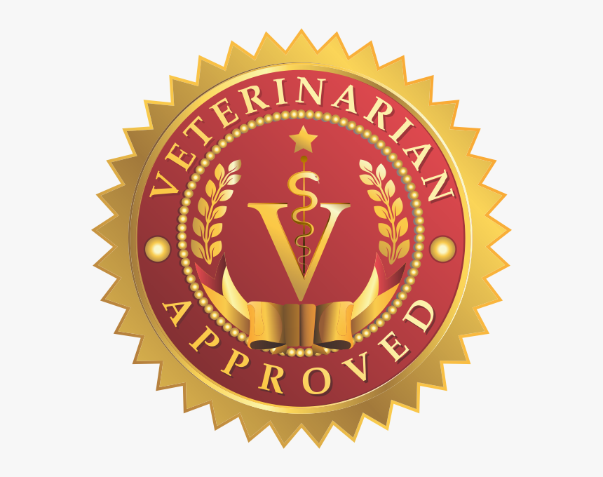 National Notary Association, HD Png Download, Free Download