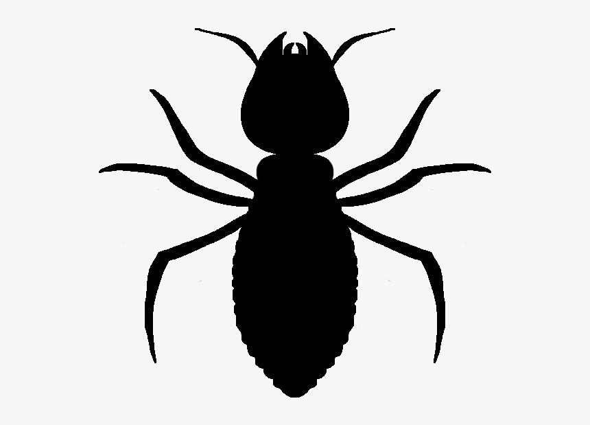 Termite Transparent Png - Dibujo Cucaracha Png, Png Download, Free Download