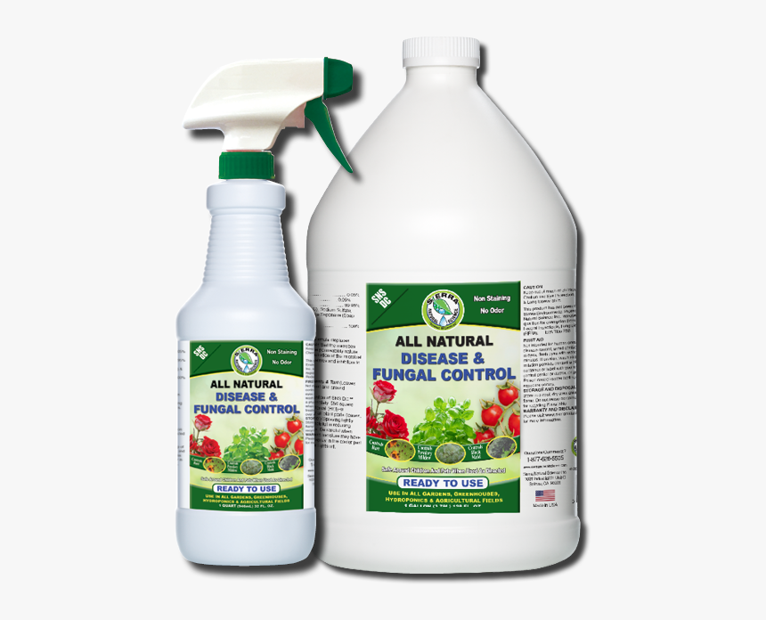 Bottle, HD Png Download, Free Download