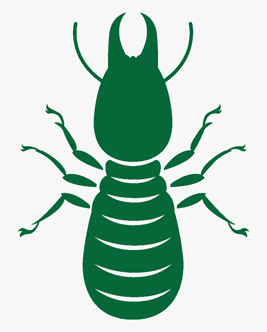 Termite Png, Transparent Png, Free Download