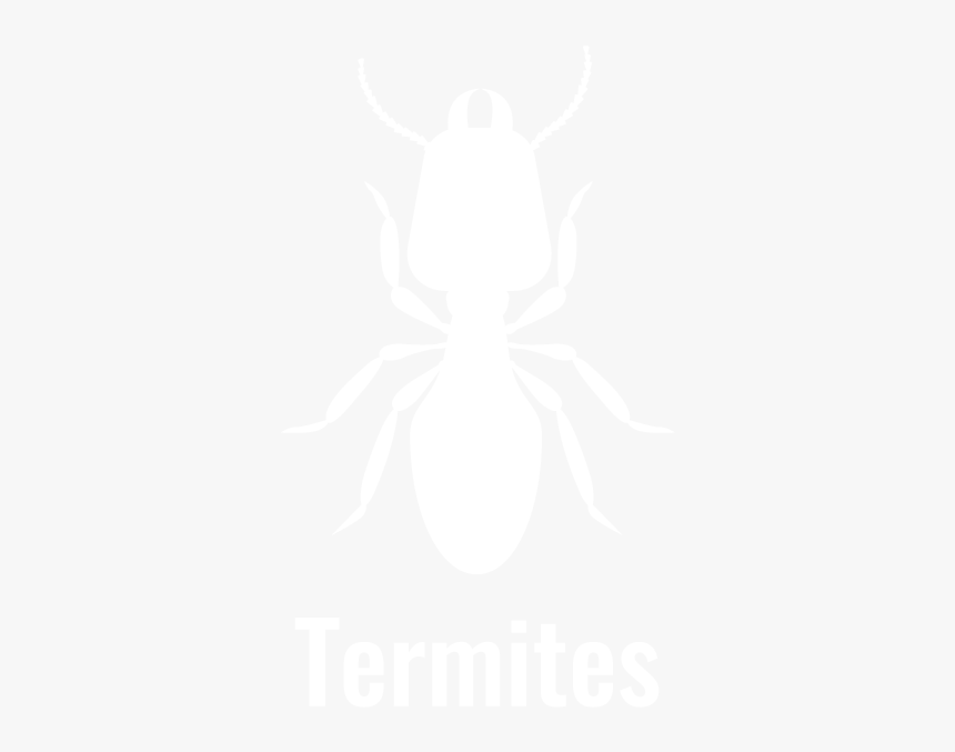 Termite, HD Png Download, Free Download