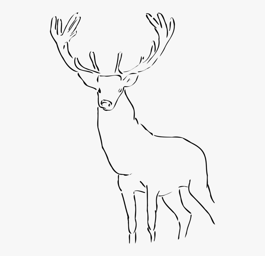 Antler Line Art Computer - Reindeer Images Black And White, HD Png Download, Free Download