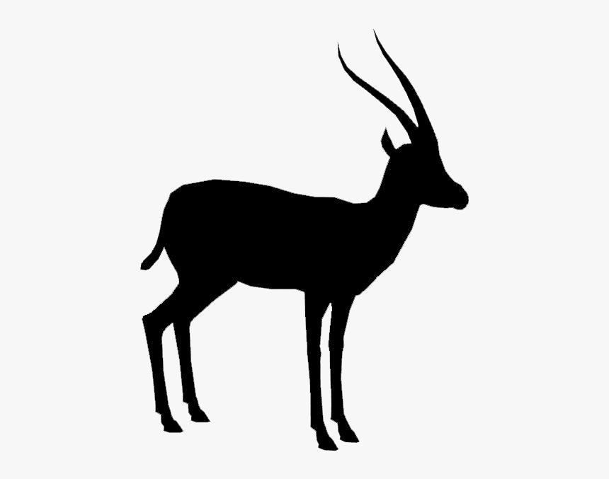 Gazelle Silhouette - Transparent Background Deer Silhouette Png, Png Download, Free Download